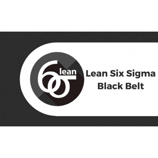 sean tygrett lean 6 sigma black belt